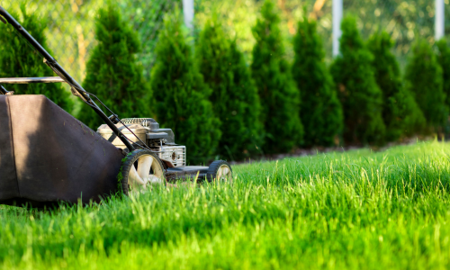 A lawnmower cuts vibrant green grass in a sunny garden, bordered by a row of neatly trimmed evergreen bushes, evoking a sense of tranquility and care.
