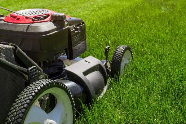 A close-up of a push mower being used to trim grass.