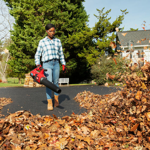 Toro 60V Max Brushless Leaf Blower with 4.0Ah Battery