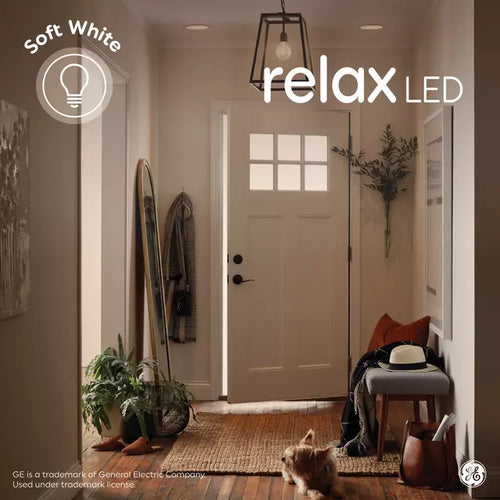 GE Relax HD A19 LED Light Bulbs, General Purpose Bulbs, 100 Watt Replacement, Soft White (2 Pack)