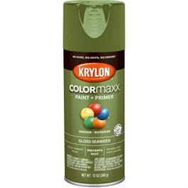 COLORmaxx Spray Paint + Primer, Gloss Seaweed, 12-oz.